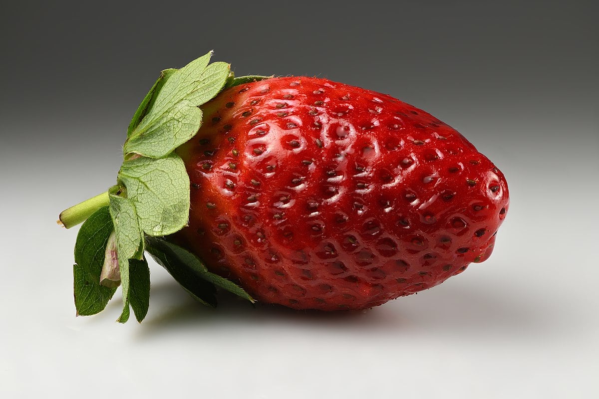 Garden_strawberry_(Fragaria_×_ananassa)_single2