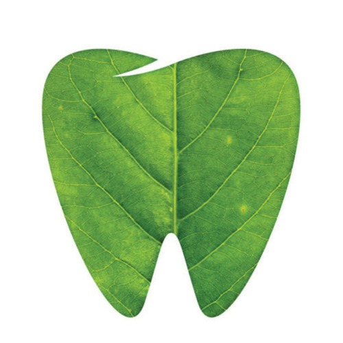 leaf (1)